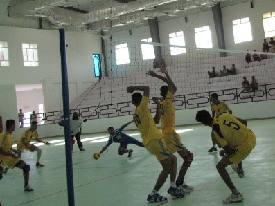 fgf5.JPG